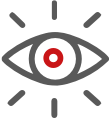 Vision
